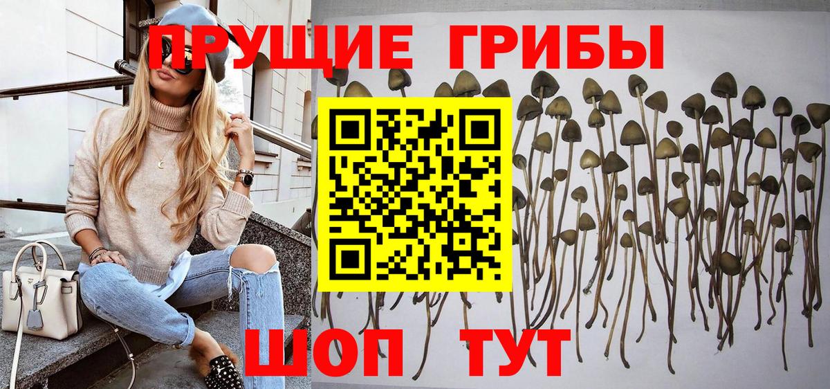 Галлюциногенные грибы Cubensis  Галлюциногенные грибы Magic Shrooms  Анапа  Вход с VPN 